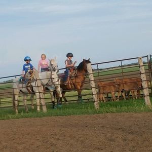 Meet your Posher, Aidan